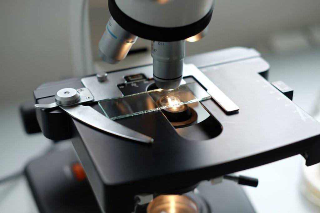 How to Crush Your Medical School MCAT Biology: A Pre-Med’s No-BS Guide