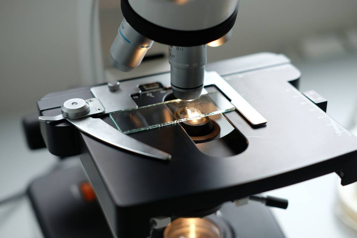 How to Crush Your Medical School MCAT Biology: A Pre-Med’s No-BS Guide