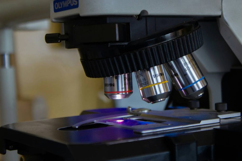 The Ultimate MCAT Biology Study Guide That Actually Works (No Fluff, Just Results)