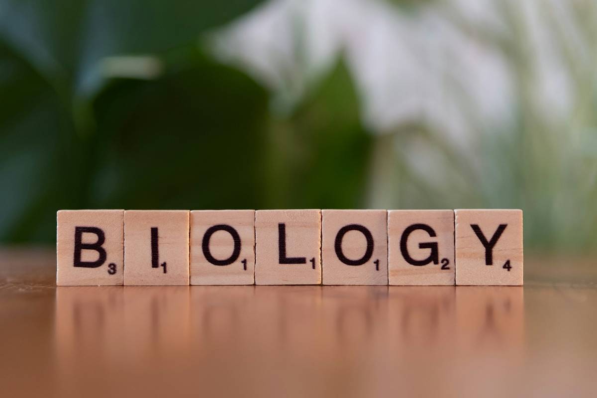 medical school mcat biology what should student analyzing experimental passage