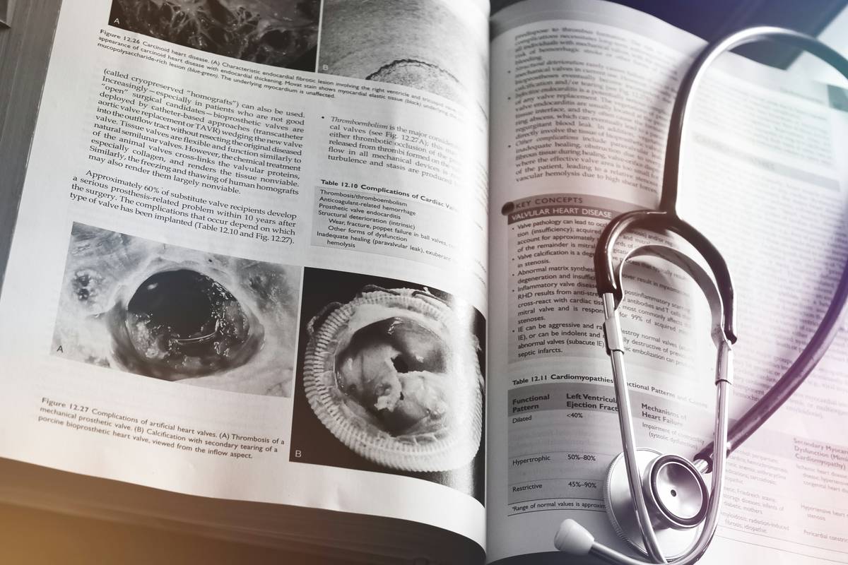 Master the Activities Section in MCAT Preparation: Your Biology Edge Starts Here