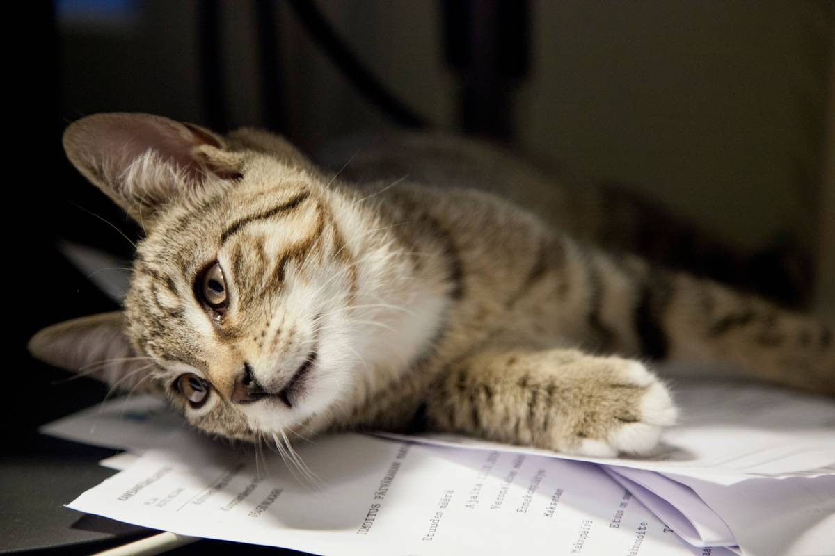 science study mcat biology what doe AAMC passage analysis workflow
