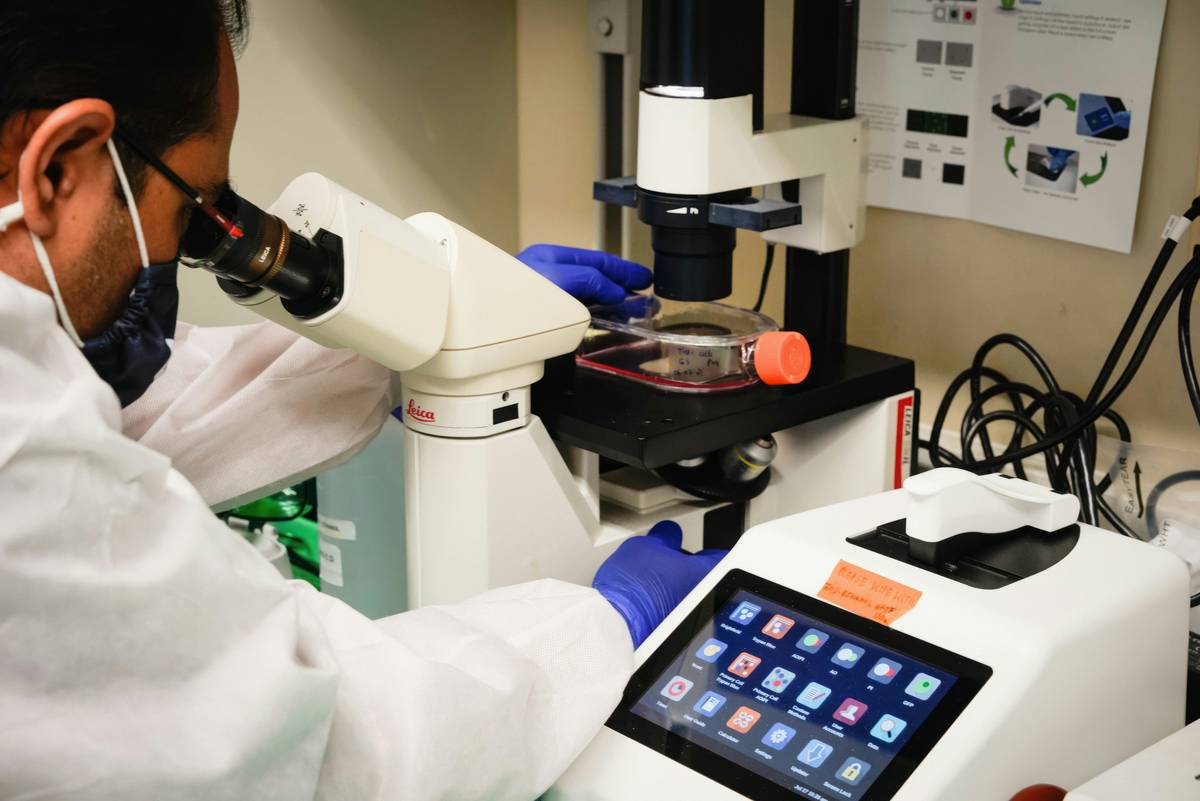 medical school mcat biology what should